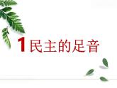 3.1 生活在新型民主国家 课件 2024-2025学年九年级道德与法治上册