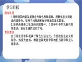 6.2共筑生命家园（课件） 2024-2025学年九年级道德与法治上册 （统编版2024）