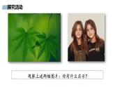 部编版初中道法7上 第一单元 少年有梦 1.2.2 做更好的自己 课件+教案+导学案+练习题