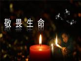 部编版初中道法7上 第三单元 珍爱我们的生命 3.8.2 敬畏生命 课件+教案+导学案+练习题