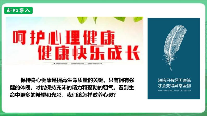 【核心素养】人教部编版道法七上 7.10.2《滋养心灵》课件+教案+学案+练习+素材02