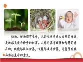3.8.1 認識生命 課件-2024-2025學(xué)年統(tǒng)編版道德與法治七年級上冊