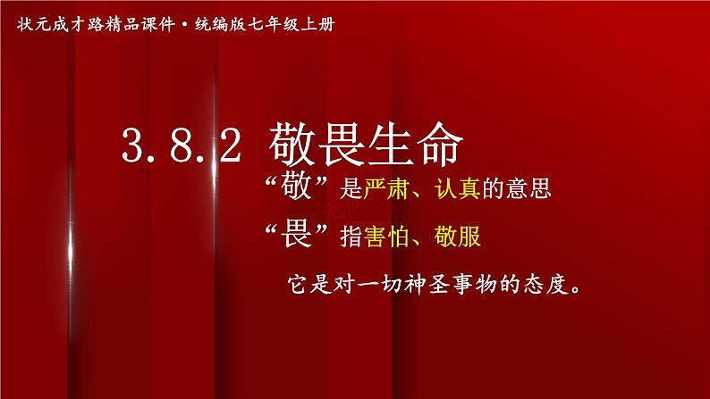 3.8.2 敬畏生命第2页