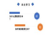 3.8.2 敬畏生命 課件-2024-2025學年統(tǒng)編版道德與法治七年級上冊