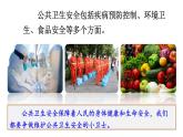 3.9.2 提高防護能力 課件-2024-2025學(xué)年統(tǒng)編版道德與法治七年級上冊