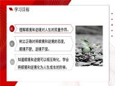 4.12.2 正確對待順境和逆境  課件-2024-2025學年統(tǒng)編版道德與法治七年級上冊