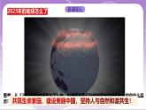 人教部编版道法九上6.2《共筑生命家园 》课件