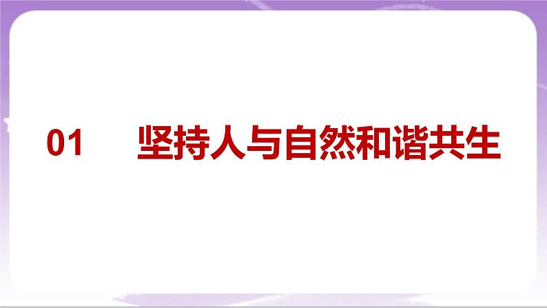 人教部编版道法九上6.2《共筑生命家园 》课件04