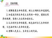 【核心素养】人教版道法七年级上册 第2课时 敬畏生命 课件