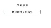 陕西省2024年道法中考热点备考重难专题：持续推进乡村振兴（课件）