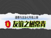 （2024）道德与法治七年级上册PPT课件2.6.2 交友的智慧