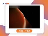（2024）道德与法治七年级上册PPT课件3.8.1 认识生命