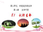 人教部编版（2024）道法七年级上册-8.1  认识生命（课件）