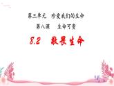 人教部編版（2024）道法七年級上冊-8.2  敬畏生命（課件）