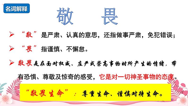 人教部编版（2024）道法七年级上册-8.2  敬畏生命（课件）第5页