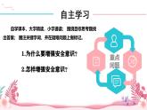 人教部编版（2024）道法七年级上册-9.1  增强安全意识（课件）