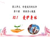 人教部編版（2024）道法七年級(jí)上冊-10.1  愛護(hù)身體（課件）