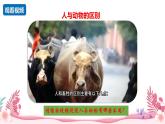 人教部编版（2024）道法七年级上册-11.1  探问人生目标（课件）