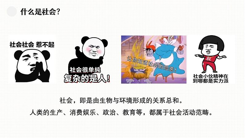 1.1 我与社会（课件）-2024-2025学年八年级道德与法治上册 （统编版2024）02