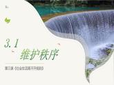 3.1 维护秩序 课件-2024-2025学年统编版道德与法治 八年级上册