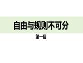 3.2 遵守规则 课件-2024-2025学年统编版道德与法治八年级 上册