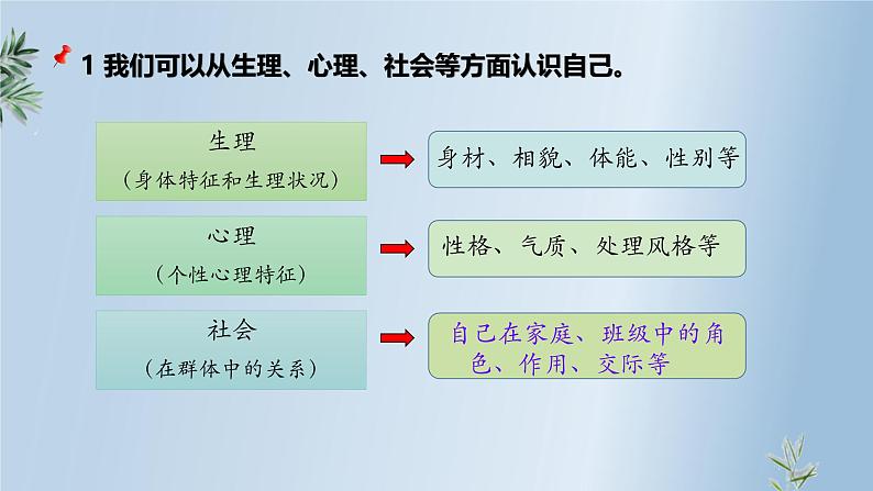 2.1 认识自己 课件- 2024-2025学年统编版道德与法治七年级上 册08