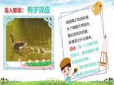 2.2 做更好的自己 课件-2024-2025学年统编版道德与法治七年级上 册
