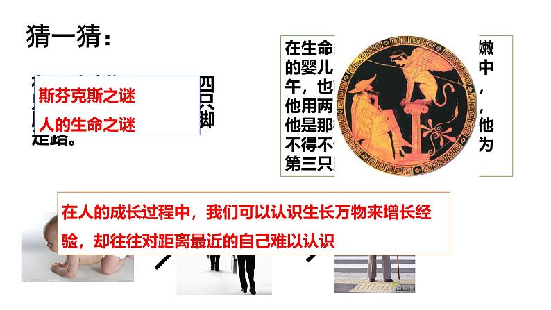 2.1 认识自己 课件- 2024-2025学年统编版道德与法治七年级上册 (2)01