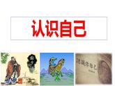 2.1 认识自己 课件-2024-2025学年统编版道德与法治七年级上册(1)