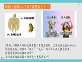 2.1 认识自己 课件-2024-2025学年统编版道德与法治七年级上册(6)