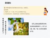 2.2 做更好的自己 课件-2024-2025学年统编版道德与法治七年级上册(1)
