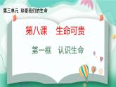8.1 认识生命 课件-2024-2025学年统编版道德与法治七年级 上册 )