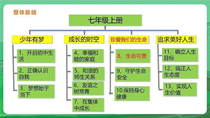 8.1 认识生命 课件-2024-2025学年统编版道德与法治七年级上册第2页