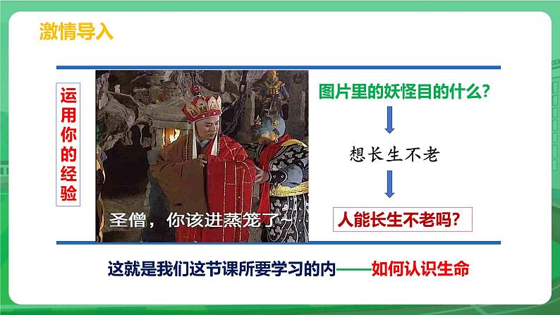 8.1 认识生命 课件-2024-2025学年统编版道德与法治七年级上册第5页