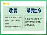 8.2 敬畏生命 課件-2024-2025學年統(tǒng)編版道德與法治七年級上冊