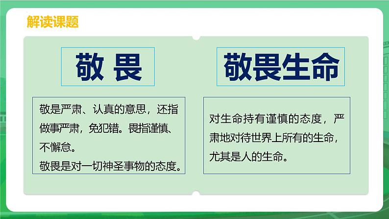 8.2 敬畏生命 课件-2024-2025学年统编版道德与法治七年级上册04