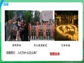 8.2 敬畏生命 課件-2024-2025學年統(tǒng)編版道德與法治七年級上冊