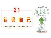 2.1 认识自己 课件----2024-2025学年七年级道德与法治上册（统编版2024）