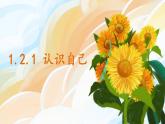 2.1认识自己课件   -2024-2025学年七年级道德与法治上册（统编版2024）
