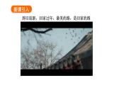 4.1家的意味  课件----2024-2025学年七年级道德与法治上册（统编版2024）