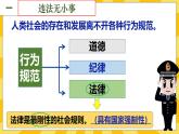 统编版道德与法治八年级上册 5.1法不可违  课件
