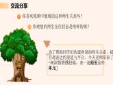 统编版（2024）道德与法治七上：5.2珍惜师生情谊（课件+教案+视频素材）