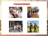 【大单元整体教学】部编版道德与法治七上13.2 在奉献中成就精彩人生（课件+大单元教学设计+课时教案）