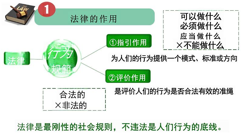 5.1 法不可违 课件-2024-2025学年统编版道德与法治八年级上册04