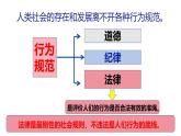 5.1 法不可违 课件-2024-2025学年统编版道德与法治八年级上册