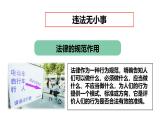 5.1 法不可违 课件-2024-2025学年统编版道德与法治八年级上册