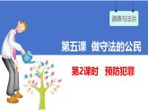5.2 预防犯罪 课件- 2024-2025学年统编版道德与法治八年级上册