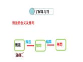 5.2 预防犯罪 课件- 2024-2025学年统编版道德与法治八年级上册