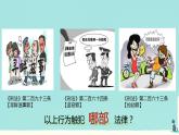 5.2 预防犯罪 课件-2024-2025学年统编版道德与法治八年级上册