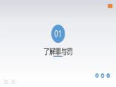 5.2预防犯罪 课件-2024-2025学年统编版道德与法治八年级上册